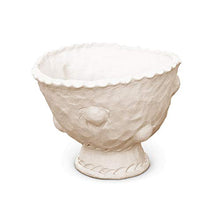 Load image into Gallery viewer, AMACO Darice STONEX Clay 5 LB AIR Dry White
