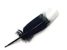 Load image into Gallery viewer, Imitation Eagle Feathers - White Tip Tom Turkey Rounds Imitation Eagle Secondary Feathers
