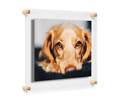 Cool Modern Frames Clear Floating Double Panel Acrylic Picture Frame, 8x10-Inch, Gold Hardware