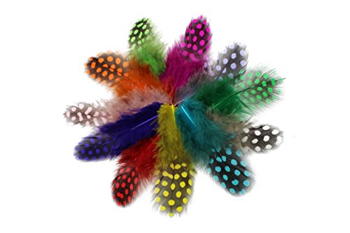 Tigofly 100 pcs/lot 11 Mixed Colors Loose Guinea Pearl Hen Feather Fowl Plumage Hackles Spotted Feathers Fly Tying Materials