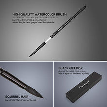 Load image into Gallery viewer, dainayw Round Watercolor Paint Brushes Squirrel Hair Professional Artist Painting Mop - 4Pcs Black Handle

