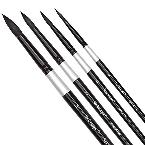 dainayw Round Watercolor Paint Brushes Squirrel Hair Professional Artist Painting Mop - 4Pcs Black Handle