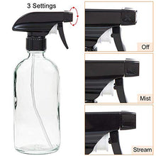 Load image into Gallery viewer, Glass Spray Bottle, Niuta 16 OZ Clear Glass Empty Spray Bottles with Labels for Plants, Pets, Essential Oils, Cleaning Products - Black Trigger Sprayer w/Mist and Stream Settings
