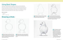 Load image into Gallery viewer, Basics of Drawing: The Ultimate Guide for Beginners
