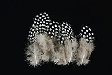 Load image into Gallery viewer, Tigofly 100 pcs/lot 11 Mixed Colors Loose Guinea Pearl Hen Feather Fowl Plumage Hackles Spotted Feathers Fly Tying Materials
