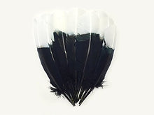Load image into Gallery viewer, Imitation Eagle Feathers - White Tip Tom Turkey Rounds Imitation Eagle Secondary Feathers
