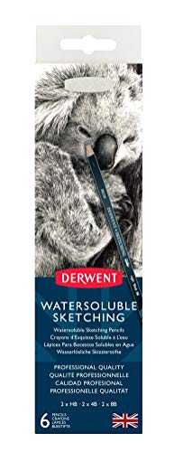 Derwent Watersoluble Sketching Pencils, Metal Tin, 6 Count (0700837)