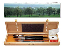 Load image into Gallery viewer, da Vinci Watercolor Series 5240 Deluxe Paint Brush Set, Natural Hair and Synthetic with Wooden Storage Box and Brush Soap, Multiple Sizes, 5 Brushes (Series 36, 991, 5530, 5550)
