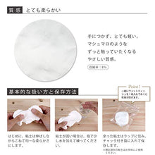 Load image into Gallery viewer, Padico Hearty Super Light Weight Modeling Clay 200g Color White (Japan Import)
