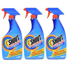 Load image into Gallery viewer, Shout Advanced Spray and Wash Laundry Stain Remover Gel, Best Shout Formula, 22 oz - Pack of 3
