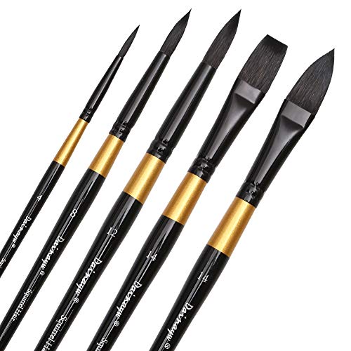 Dainayw Watercolor Paint Brushes Set Squirrel Hair Professional Artist Painting Mop for Gouache Watercolors Inks, 5 Pcs Black Golden Handle