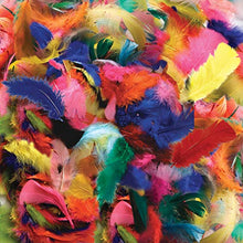 Load image into Gallery viewer, Creativity Street Turkey Plumage Feathers, 5 Assorted Colors and Sizes, 0.5-oz. Pack (AC4500-02)
