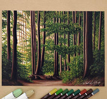 Load image into Gallery viewer, Professional Brush Tip Markers Set of 6 Earth Tone Markers for Outdoor Scenery Drawing Manga Sketching Illustration
