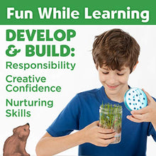 Load image into Gallery viewer, Creativity for Kids Grow &#39;N Glow Terrarium Kit for Kids - Science Activities for Kids (Packaging May Vary)
