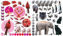 Load image into Gallery viewer, Eyelike Stickers: Animals
