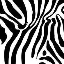 Load image into Gallery viewer, Duck Brand 1398132 Printed Duct Tape Single Roll, 1.88 Inches x 10 Yards, Zebra
