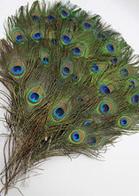 Load image into Gallery viewer, Garvest Natural Peacock Feathers – 10 to 12-Inch Eyed Peacock Tail Feathers – DIY Craft Decoration for Weddings, Halloween, Anniversaries, Christmas, Holidays, Costumes – Set of 50 Peacock Feathers
