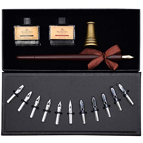 AIVN Calligraphy Set with Calligraphy Pen, 2 Color Inks, 12 Nibs and P ...