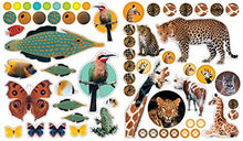 Load image into Gallery viewer, Eyelike Stickers: Animals
