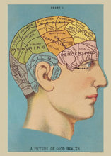 Load image into Gallery viewer, Phrenology and Palmistry Poster Pack of 2 Cavallini Vintage Art Posters/wrap
