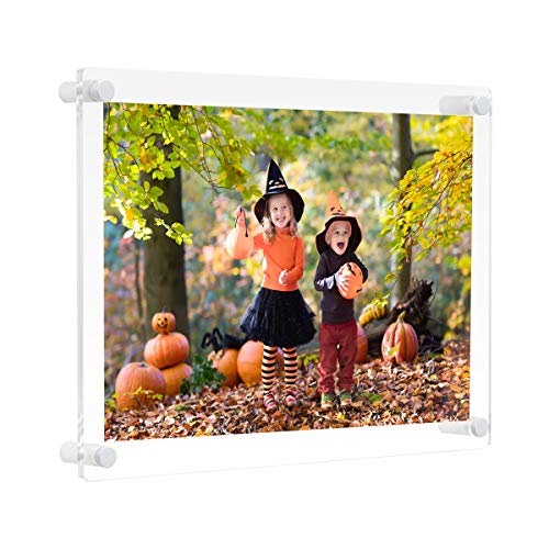 NIUBEE 8.5x11 Clear Acrylic Wall Mount Floating Picture Frame A4 Letter Size Photo for Document Certificate Sign Display -Double Panel (Full Frame is 9.4x13.4 inch)