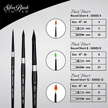 Load image into Gallery viewer, Silver Brush Limited SLM 3099 Susan Louise Moyer Basic Watercolor Brush Set, Set of 3 Black Velvet Round Brushes, Sizes 4, 8, and 12
