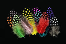 Load image into Gallery viewer, Tigofly 100 pcs/lot 11 Mixed Colors Loose Guinea Pearl Hen Feather Fowl Plumage Hackles Spotted Feathers Fly Tying Materials
