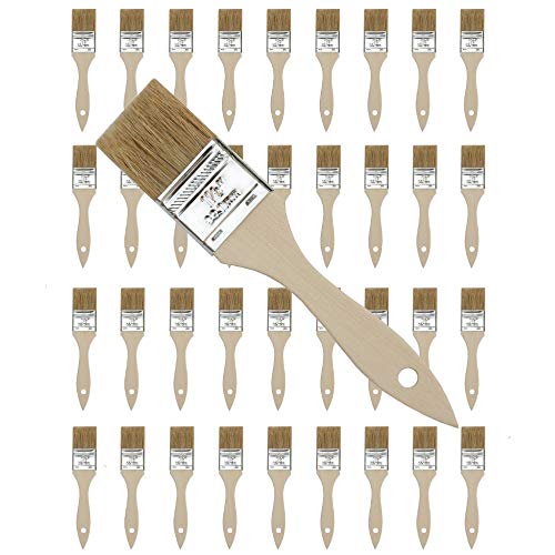 Chip Brush 36 Pack Pro Painter 1-1/2 Inch China White Bristle Disposable Paint Brush for Use with Paints Stains Primers Varnish Acrylic Adhesives Glues Epoxy Gesso Paint Removers, Hardwood Handle