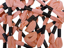 Load image into Gallery viewer, Anchor Cross Stitch Hand Embroidery Stranded Cotton Floss Thread 25 Skeins-Light Peach
