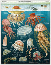 Load image into Gallery viewer, Cavallini Papers &amp; Co. Jelly Fish 1,000 Piece Puzzle, Multi
